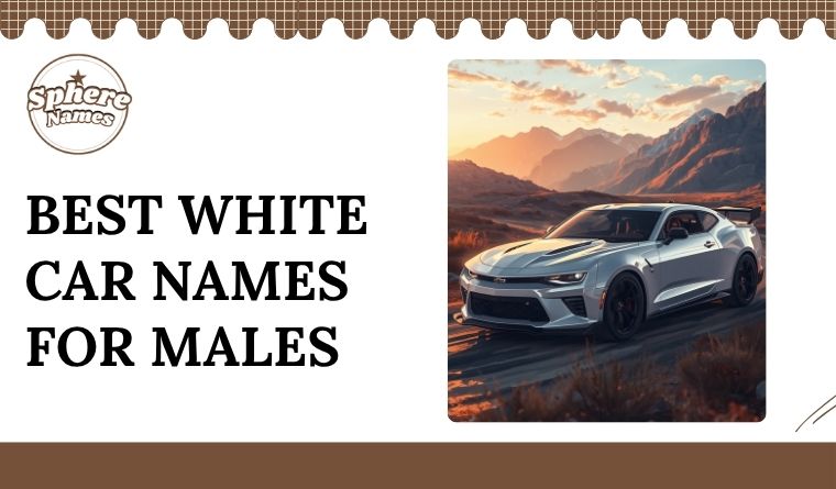 Best White Car Names for Males