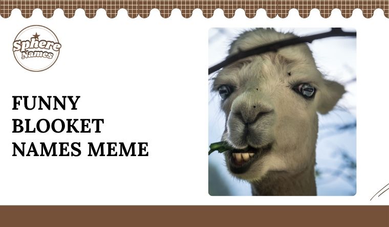 Funny Blooket Names Meme