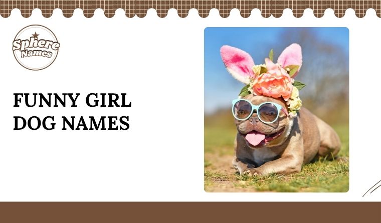 Funny Girl Dog Names