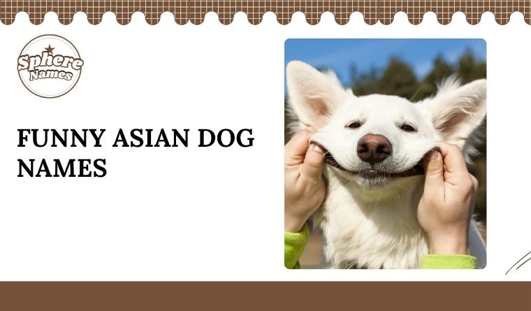 Funny Asian Dog Names
