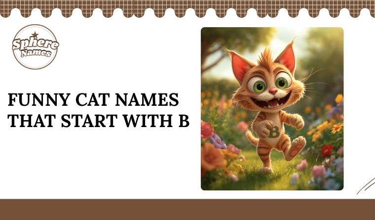 Funny Cat Names That Start With B