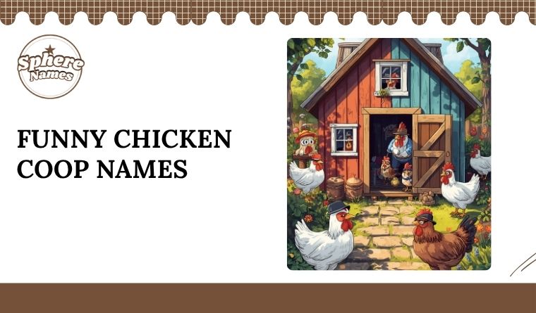 Funny Chicken Coop Names