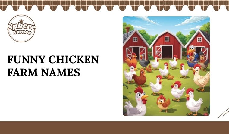 Funny Chicken Farm Names