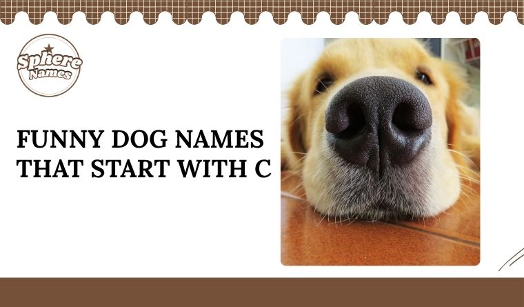 Funny Dog Names That Start With C