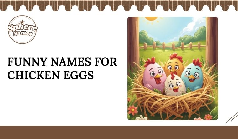 Funny Names for Chicken Eggs